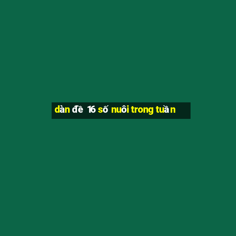 dàn đề 16 số nuôi trong tuần