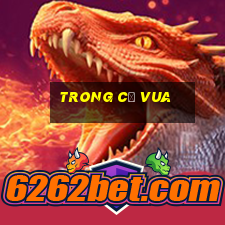 trong cờ vua