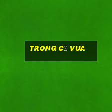 trong cờ vua