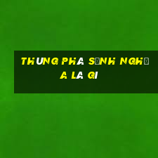 thùng phá sảnh nghĩa là gì