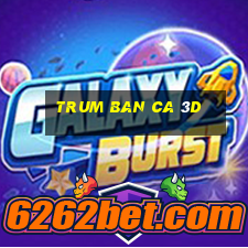 trum ban ca 3d