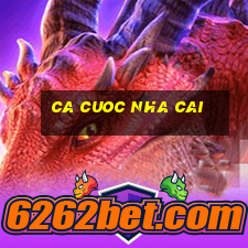 ca cuoc nha cai