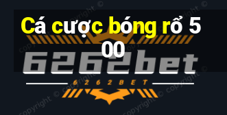 Cá cược bóng rổ 500