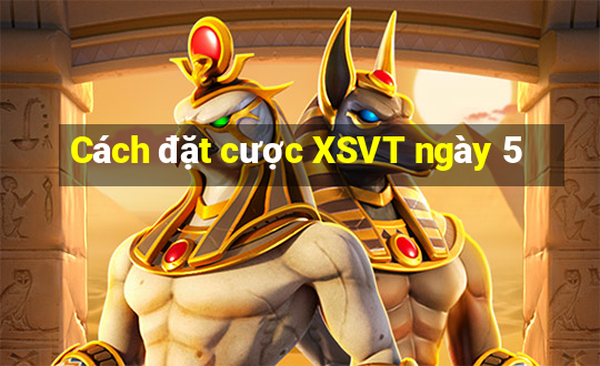 Cách đặt cược XSVT ngày 5