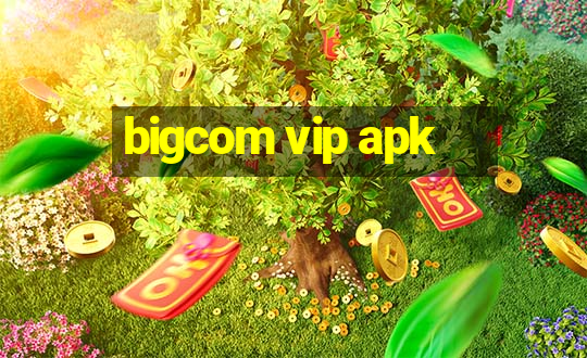 bigcom vip apk