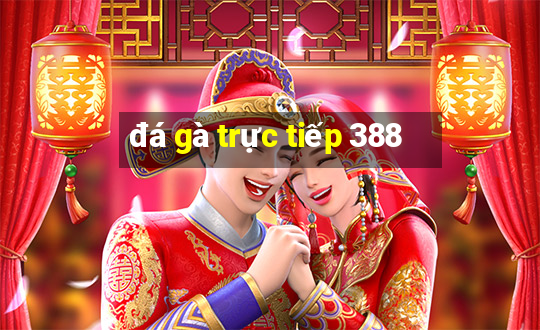 đá gà trực tiếp 388