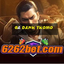 gà danh thomo