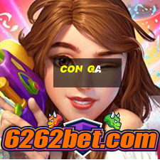 con gà