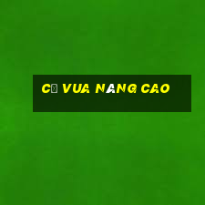 cờ vua nâng cao