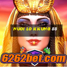 nuoi lo khung 88