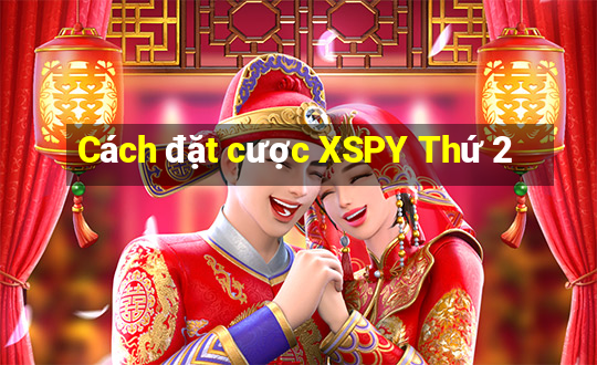 Cách đặt cược XSPY Thứ 2