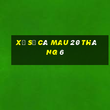 xổ số cà mau 20 tháng 6