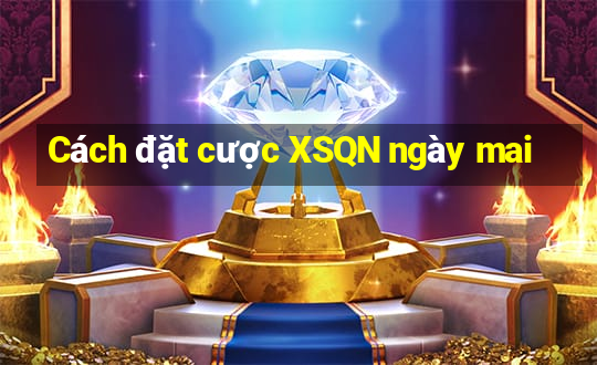 Cách đặt cược XSQN ngày mai