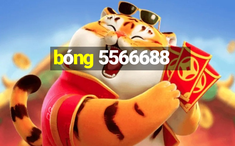 bóng 5566688