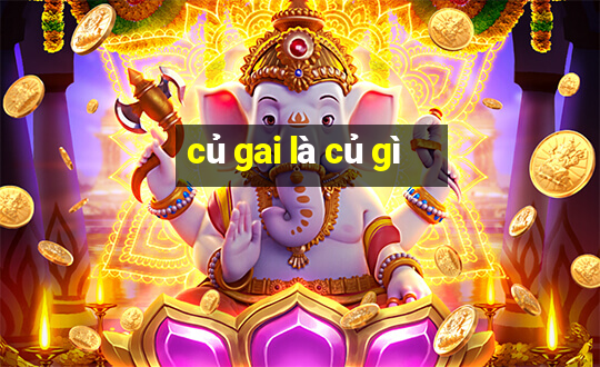 củ gai là củ gì