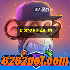 esport la gì