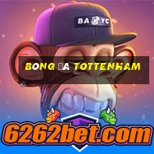 bóng đá tottenham