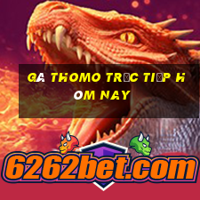 gà thomo trực tiếp hôm nay