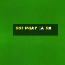 coi ngày đá gà