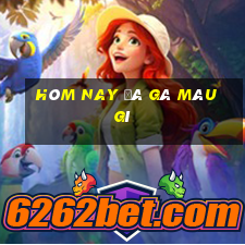 hôm nay đá gà màu gì