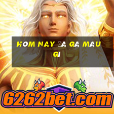 hôm nay đá gà màu gì