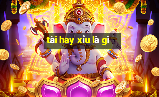 tài hay xỉu là gì