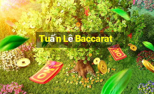 Tuấn Lê Baccarat