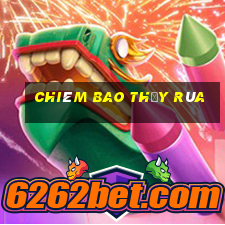 chiêm bao thấy rùa