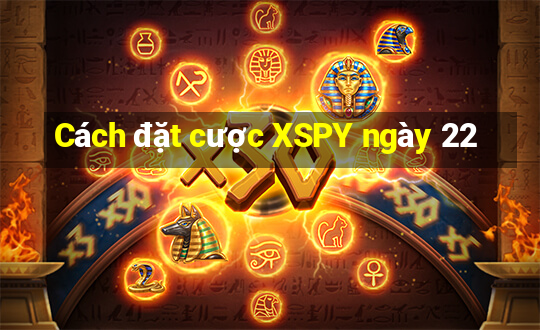 Cách đặt cược XSPY ngày 22