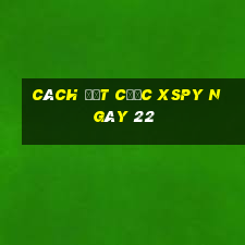 Cách đặt cược XSPY ngày 22