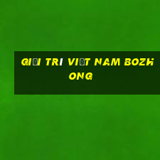 Giải trí Việt nam Bozhong