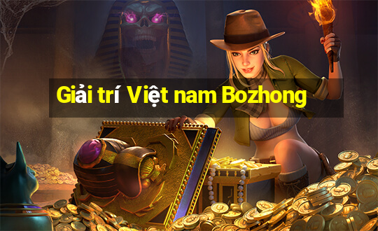 Giải trí Việt nam Bozhong