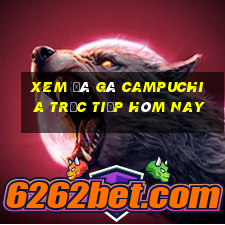 xem đá gà campuchia trực tiếp hôm nay