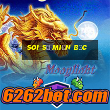 soi số miền bắc