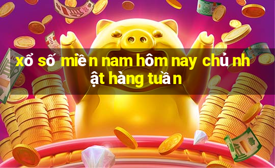 xổ số miền nam hôm nay chủ nhật hàng tuần