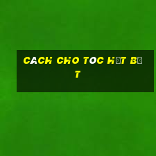 cách cho tóc hết bết