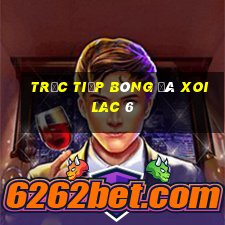 trực tiếp bóng đá xoilac 6