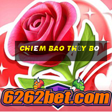 chiêm bao thấy bò