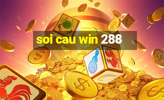 soi cau win 288