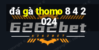 đá gà thomo 8 4 2024