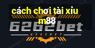 cách chơi tài xỉu m88