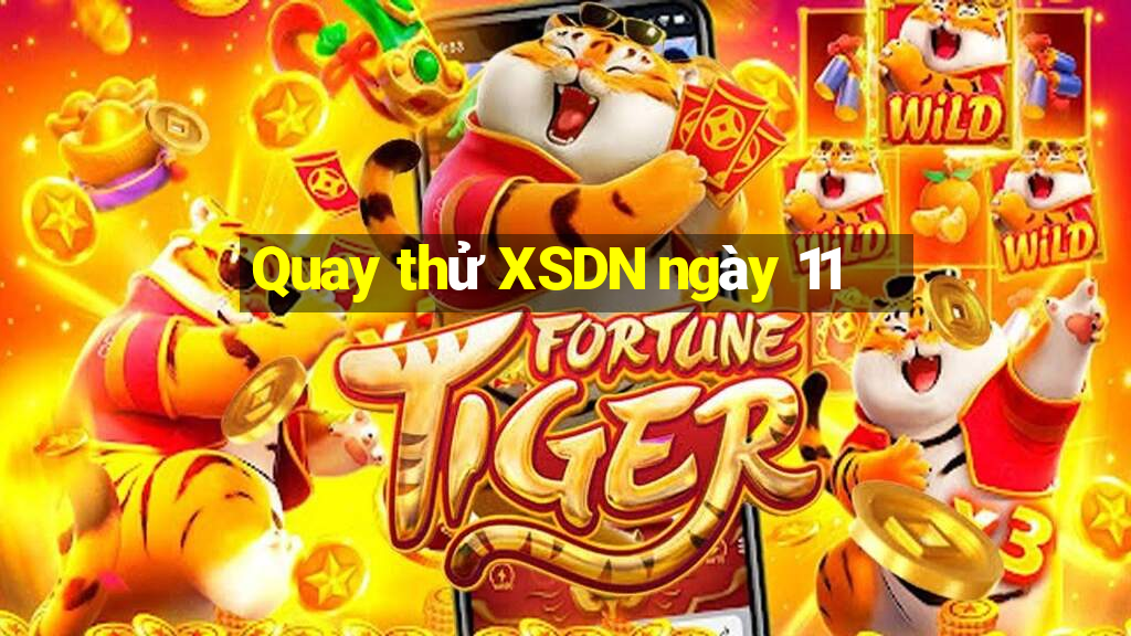 Quay thử XSDN ngày 11