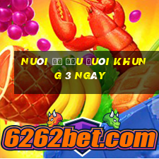 nuôi đề đầu đuôi khung 3 ngày