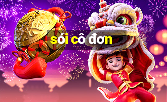 sói cô đơn