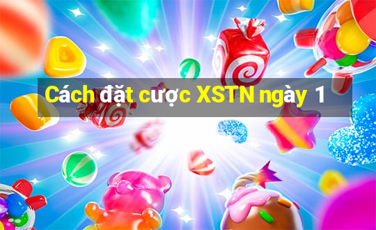 Cách đặt cược XSTN ngày 1