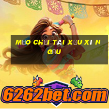 mẹo chơi tài xỉu xí ngầu