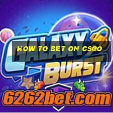 how to bet on csgo