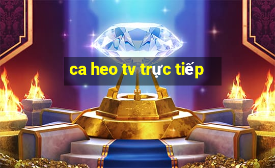 ca heo tv trực tiếp