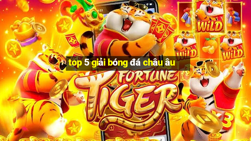 top 5 giải bóng đá châu âu