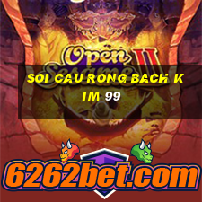 soi cau rong bach kim 99